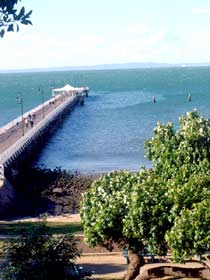 Naracoopa Bed And Breakfast And Pavilion - QLD Tourism 0