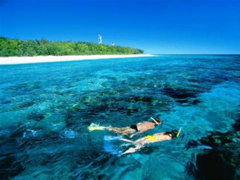 Lady Elliot Island Eco Resort - Day Trip - QLD Tourism 0
