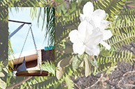 Cleveland Visitor Villas Motel - QLD Tourism 2