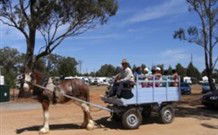 Beckom NSW Queensland Tourism