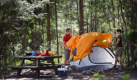Bald Rock Campground And Picnic Area - QLD Tourism 0