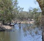 Beds on the Barwon - QLD Tourism