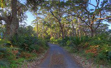 BIG4 South Durras Holiday Park - QLD Tourism 4