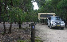 Bittangabee Campground - QLD Tourism 1