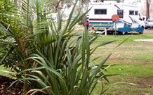 Boeill Creek NSW Queensland Tourism