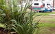 Buronga Riverside Caravan Park - thumb 0
