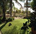 Comeroo Camel Station - QLD Tourism