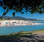 Crescent Head Holiday Park - Queensland Tourism