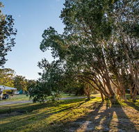 Delicate campground - QLD Tourism
