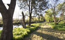 Fossickers Tourist Park - Queensland Tourism 5