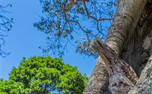 Hat Head Holiday Park - QLD Tourism 3