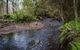 Horse Swamp Campground - thumb 0