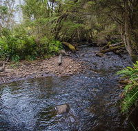 Horse Swamp campground - QLD Tourism