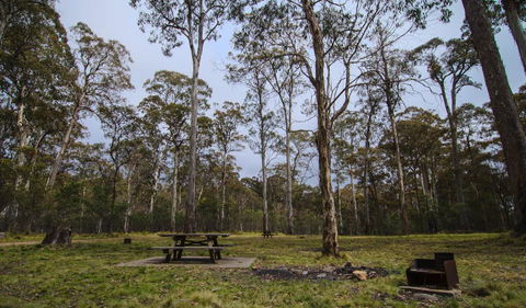 Horse Swamp Campground - QLD Tourism 1