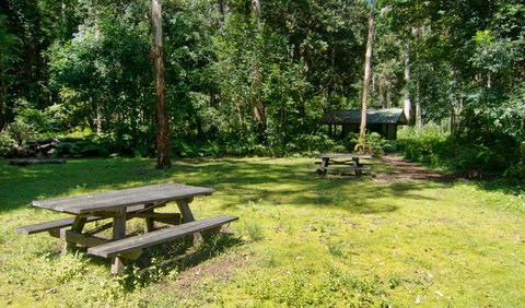 Iron Pot Creek Campground - QLD Tourism 1