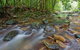 Iron Pot Creek Campground - thumb 2