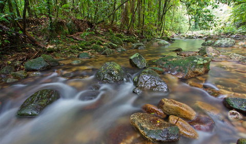 Iron Pot Creek Campground - QLD Tourism 2