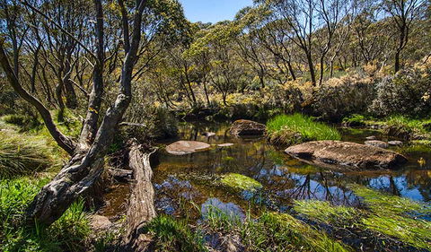 Junction Pools Campground - Queensland Tourism 0