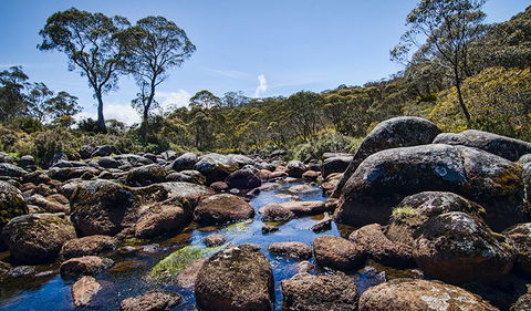 Junction Pools Campground - Queensland Tourism 2