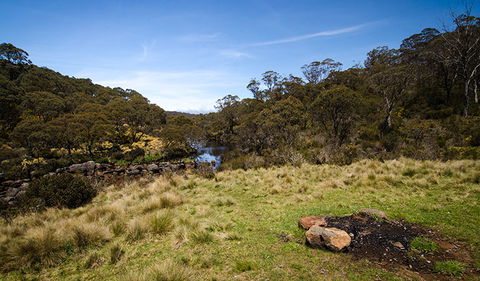 Junction Pools Campground - Queensland Tourism 1