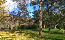 Knorrit Flat Riverside Retreat - QLD Tourism 3