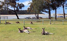 Lake Conjola Entrance Holiday Park - Queensland Tourism 2