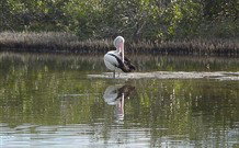Lanis Holiday Island - QLD Tourism 2