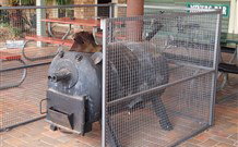 Lightning Ridge Outback Resort And Caravan Park - QLD Tourism 7