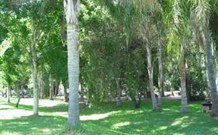 Lismore Palms Caravan Park - Queensland Tourism 0