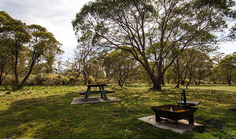 Little Murray Campground - QLD Tourism 0