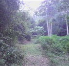 Macas Camping Ground - Queensland Tourism