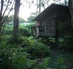 Melaleuca Surfside Backpackers - QLD Tourism
