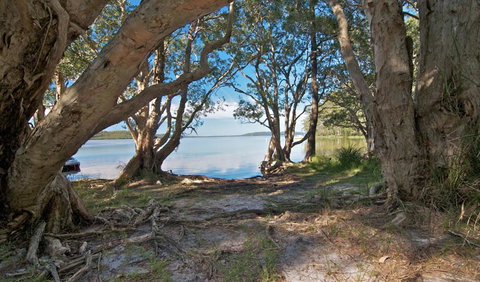 Neranie Campground - QLD Tourism 0