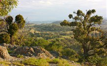 Old Bara - QLD Tourism 6