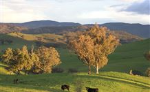 Old Bara - QLD Tourism 7