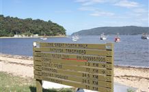 Patonga Camping Area - Queensland Tourism 3