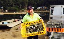 Patonga Camping Area - Queensland Tourism 2