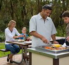 Port Stephens Treescape - QLD Tourism