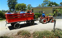 Rivergum Holiday Retreat - QLD Tourism 2