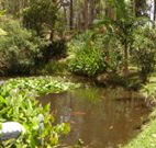 Tallowood Ridge B and B - QLD Tourism
