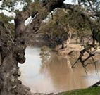 Trilby Station - QLD Tourism