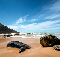 Yagon Campground - QLD Tourism