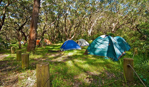 Yagon Campground - QLD Tourism 2