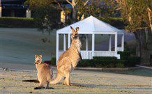 Chateau Elan At The Vintage Hunter Valley - QLD Tourism 4