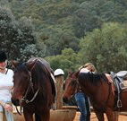 Chesleigh Homestead - QLD Tourism