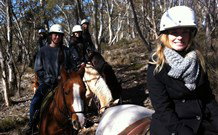 JE Resort (Jindabyne Equestrian Resort) - QLD Tourism 1