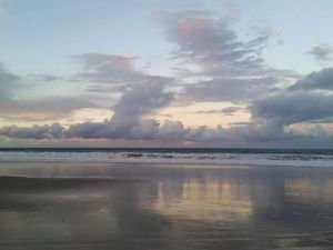 Minnie Water Holiday Park - QLD Tourism 1