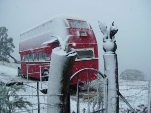 Artisans Park - Queensland Tourism 8