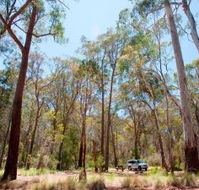 Coolah Tops National Park Camping - QLD Tourism