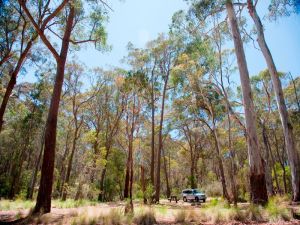 Coolah Tops National Park Camping - QLD Tourism 0
